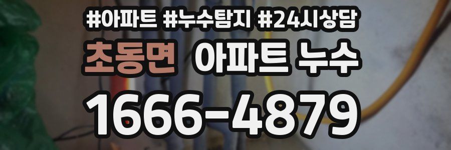 초동면 누수탐지