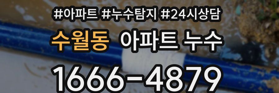 수월동 누수탐지