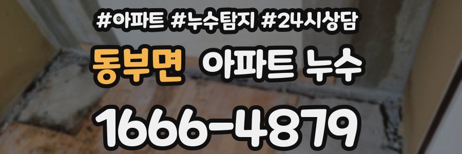 동부면 누수탐지