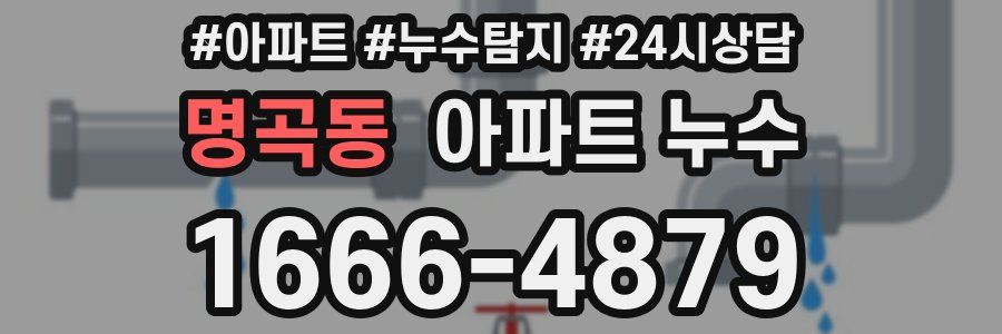 명곡동 누수탐지