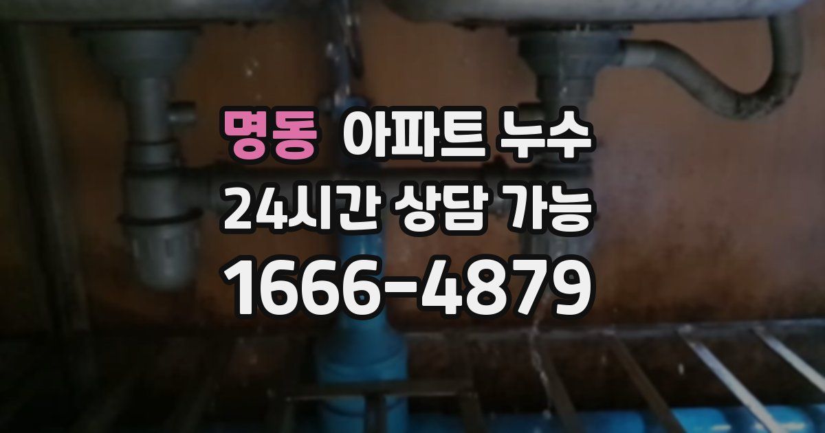 명동 아파트 누수