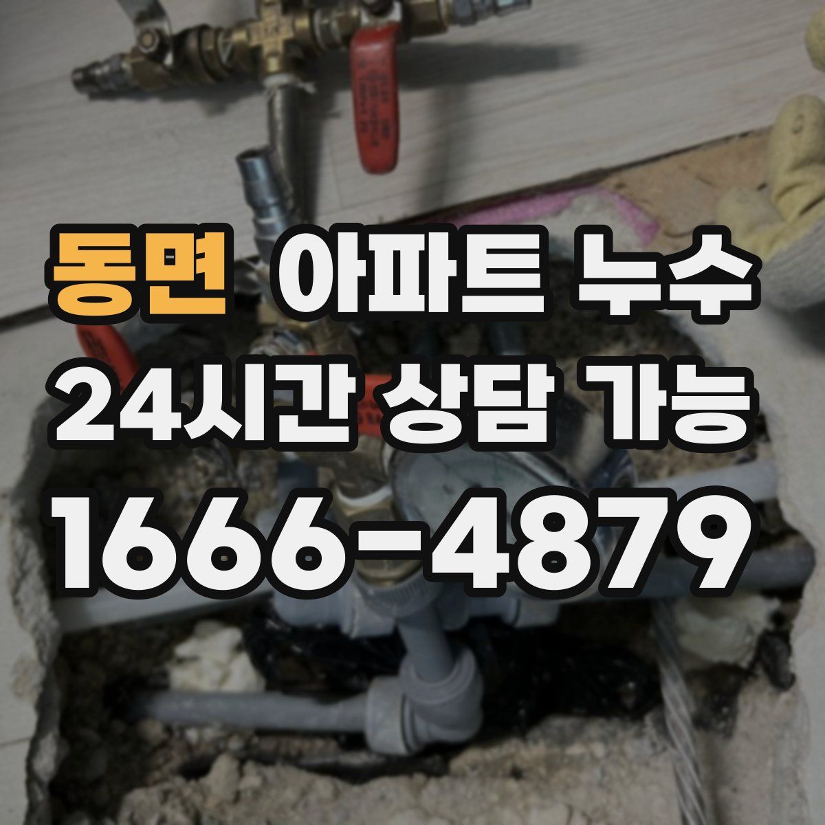 동면 아파트 누수탐지