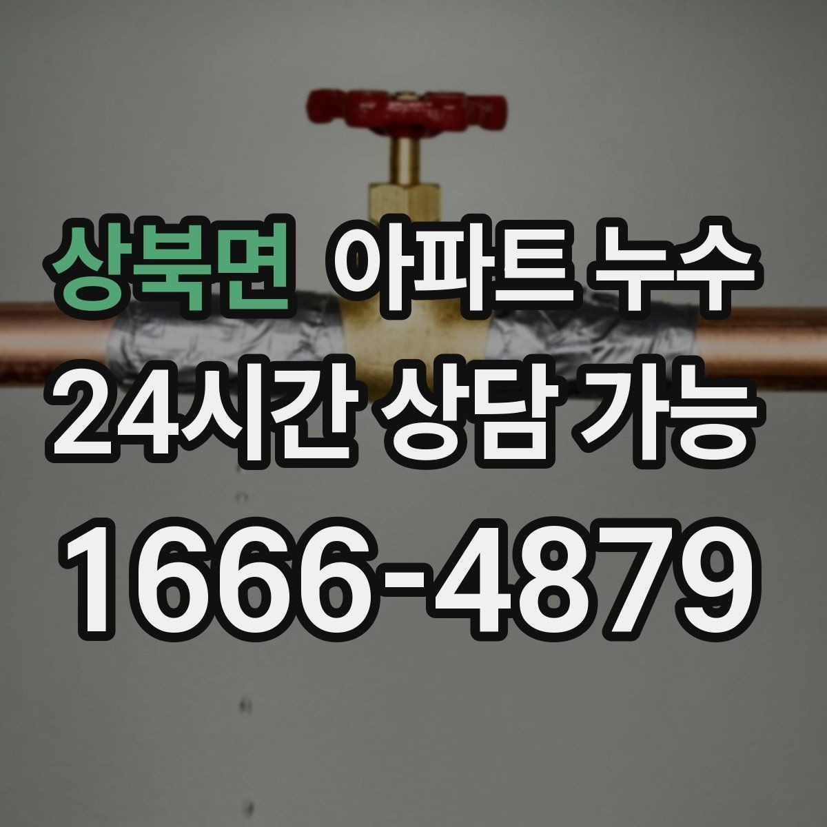 상북면 아파트 누수 도배지 갈색 라인이 생기는 이유