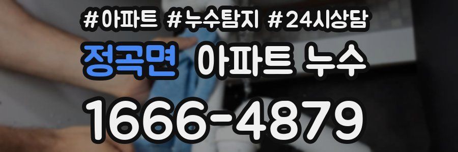 정곡면 누수탐지