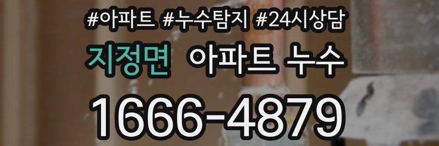 지정면 누수탐지