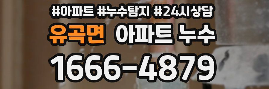 유곡면 누수탐지