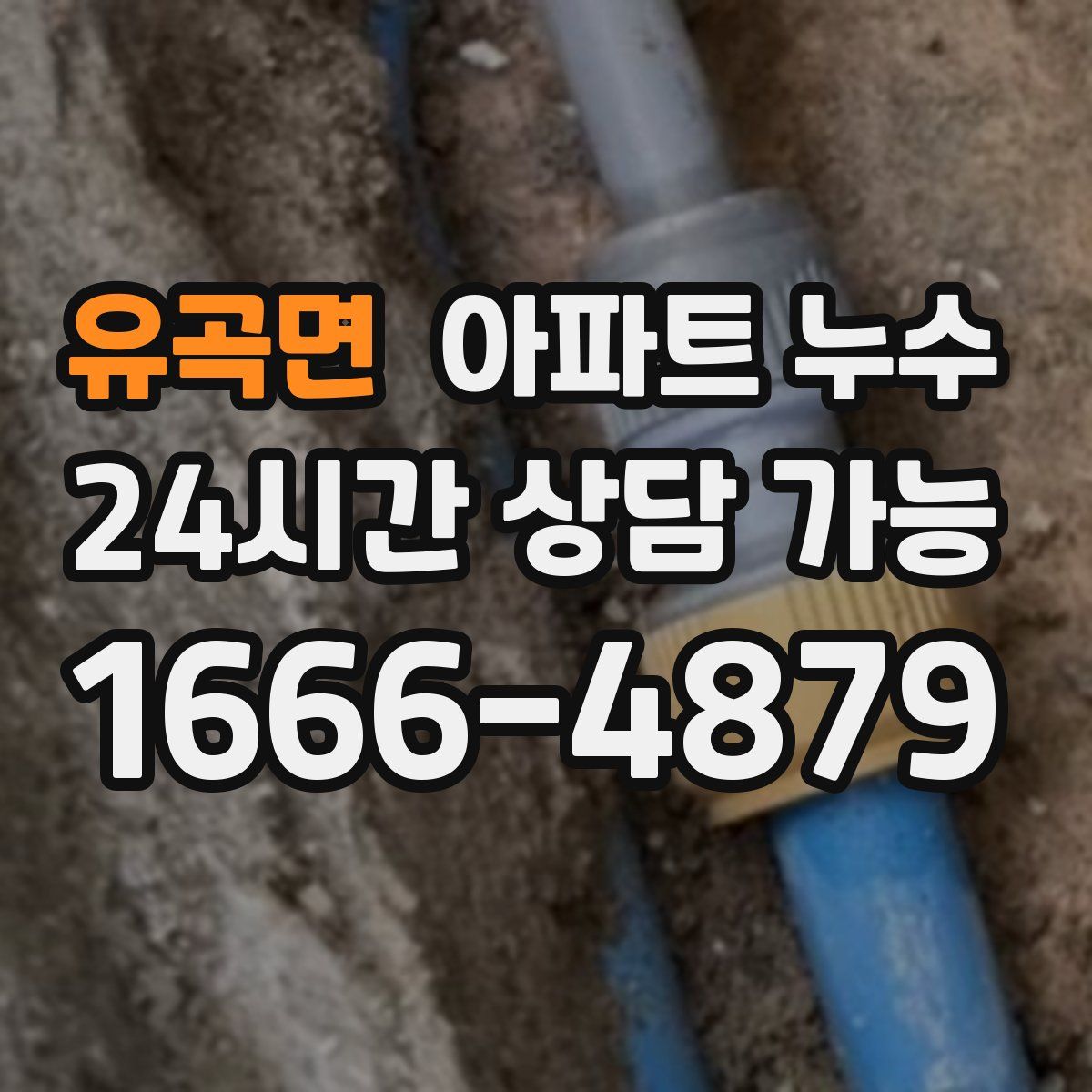 유곡면 아파트 누수탐지