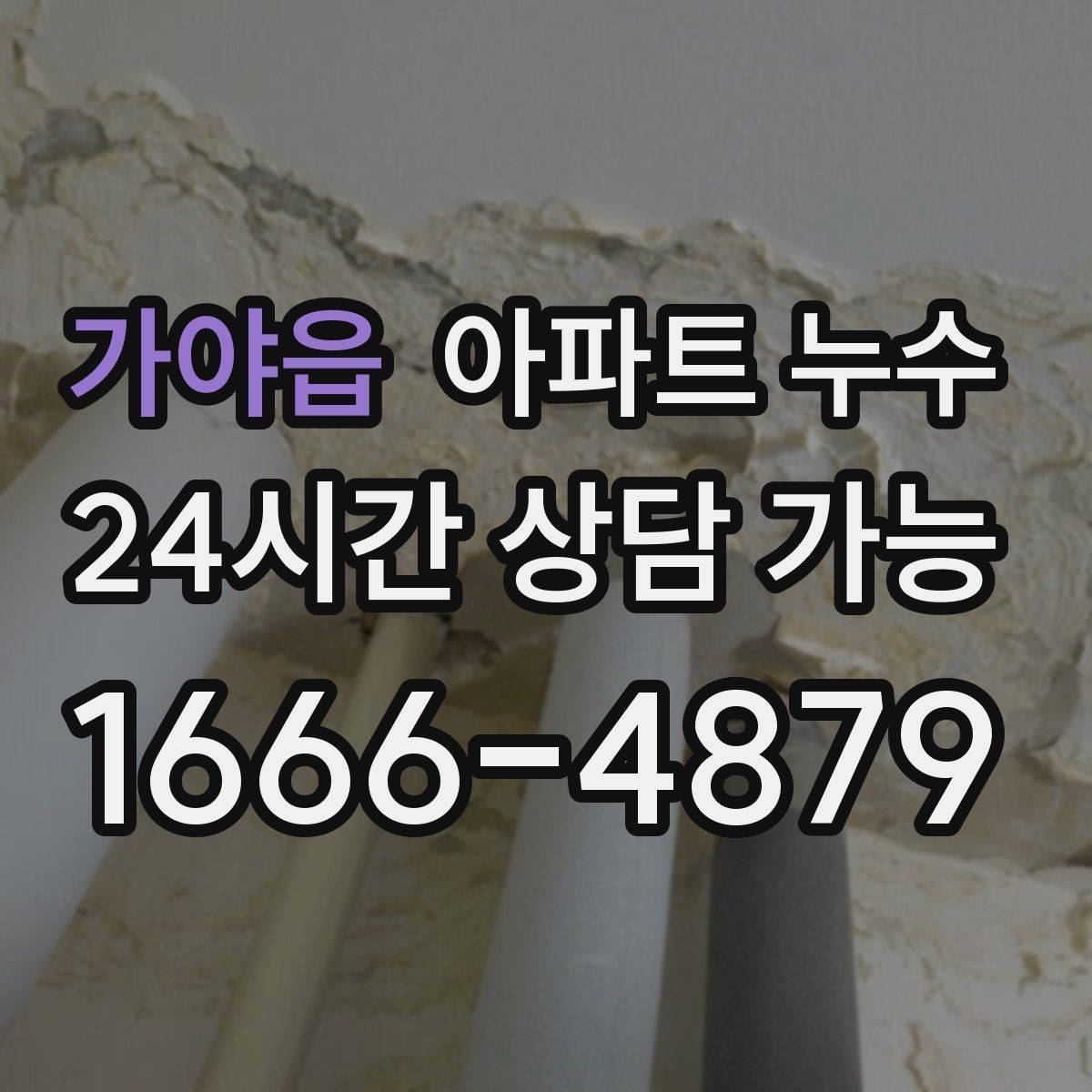가야읍 아파트 누수 벽지 끝선이 검게 변할 때