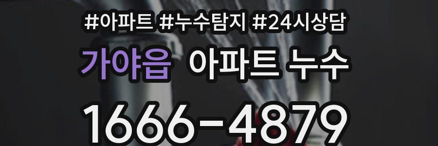 가야읍 누수탐지