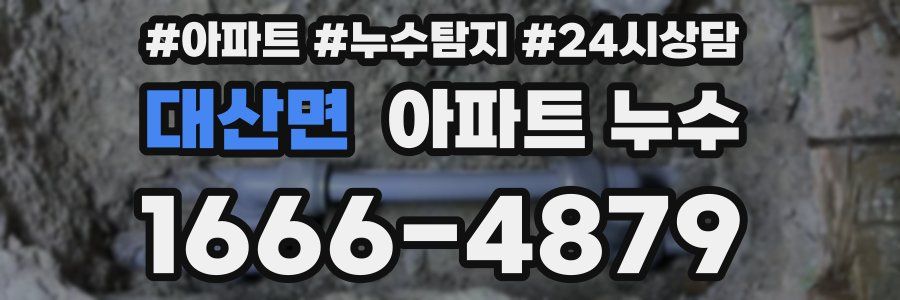 대산면 누수탐지