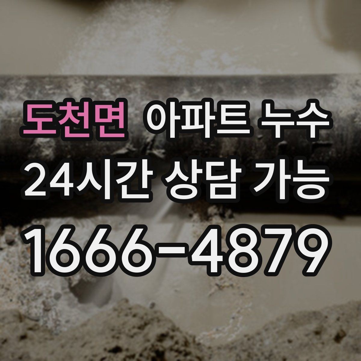 도천면 아파트 누수 신발장 뒤 벽이 젖는 증상 점검