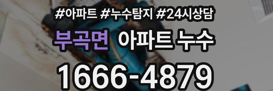 부곡면 누수탐지