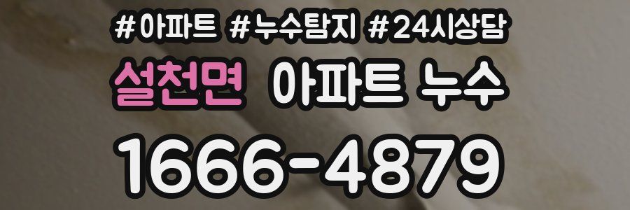 설천면 누수탐지