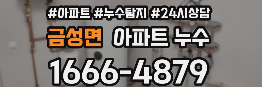 금성면 누수탐지