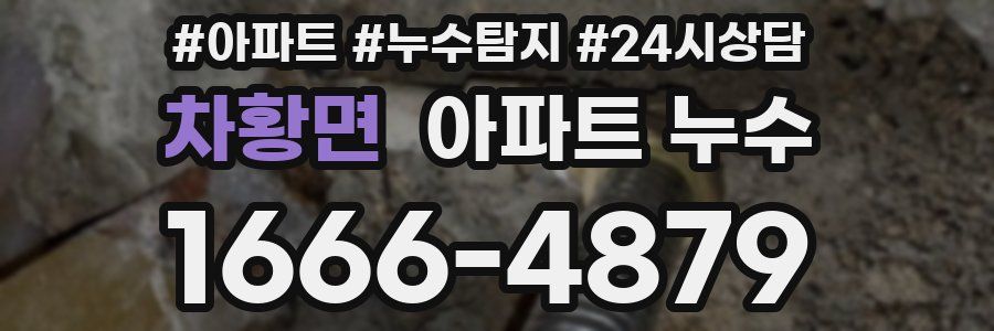 차황면 누수탐지