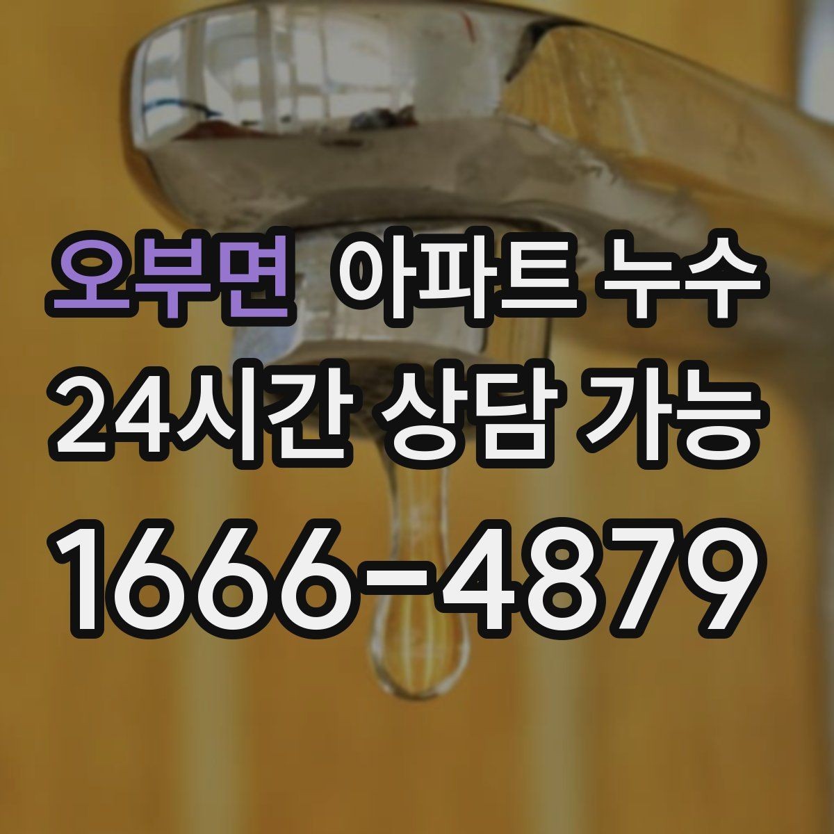 오부면 아파트 누수 욕실 타일 주변이 계속 젖을 때