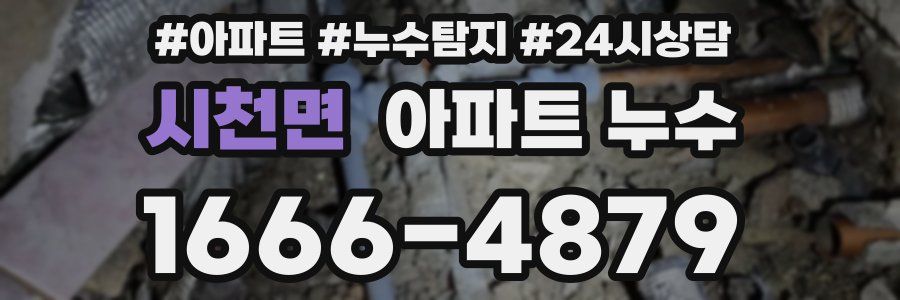 시천면 누수탐지