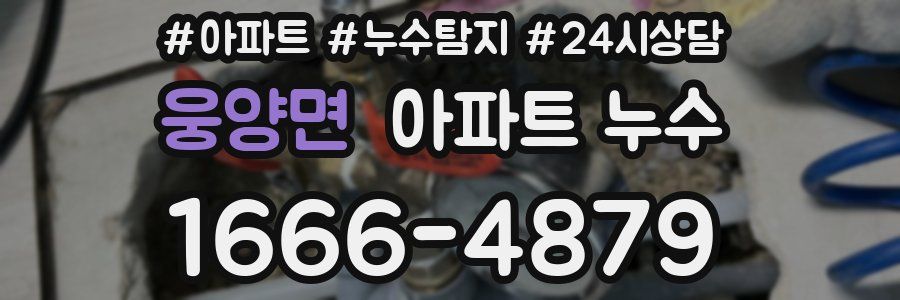 웅양면 누수탐지