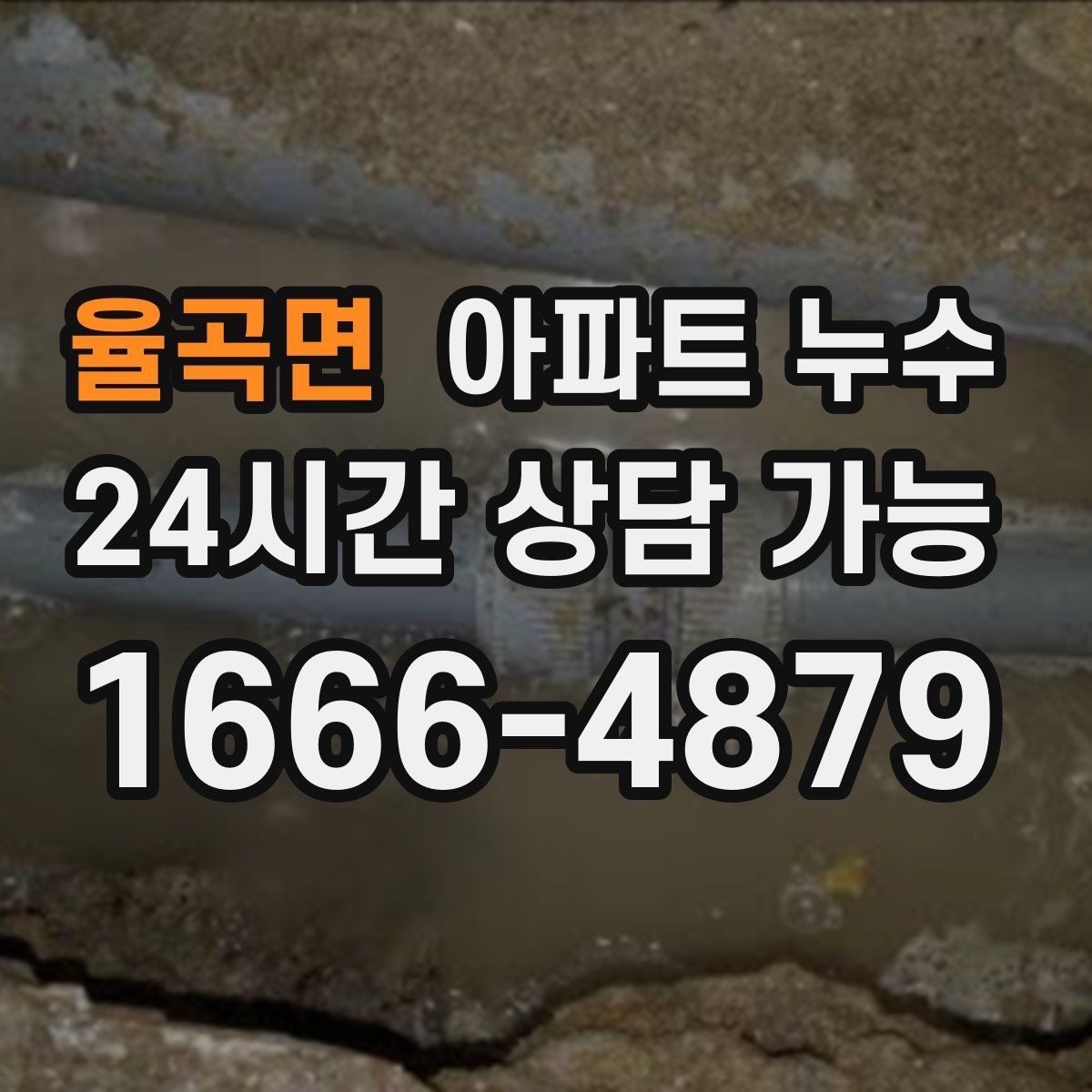 율곡면 아파트 누수 욕실 문틀 하단이 변색될 때
