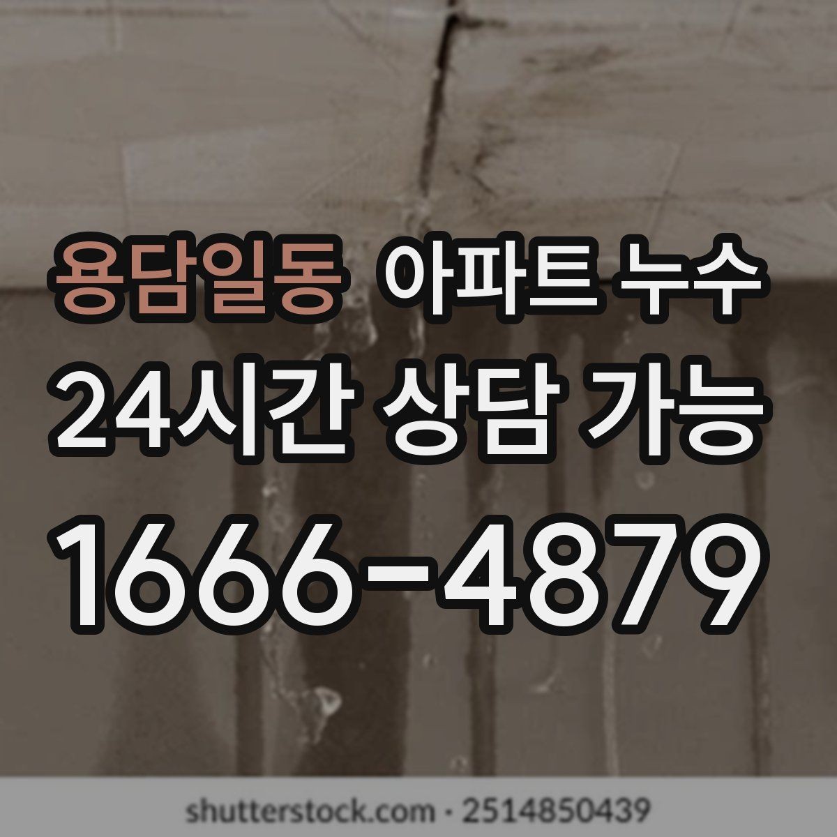 용담일동 아파트 누수 욕실 천장 얼룩이 생겼다면
