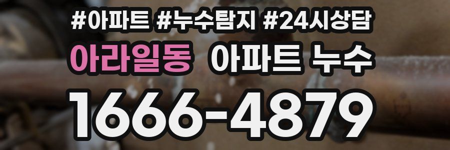 아라일동 누수탐지