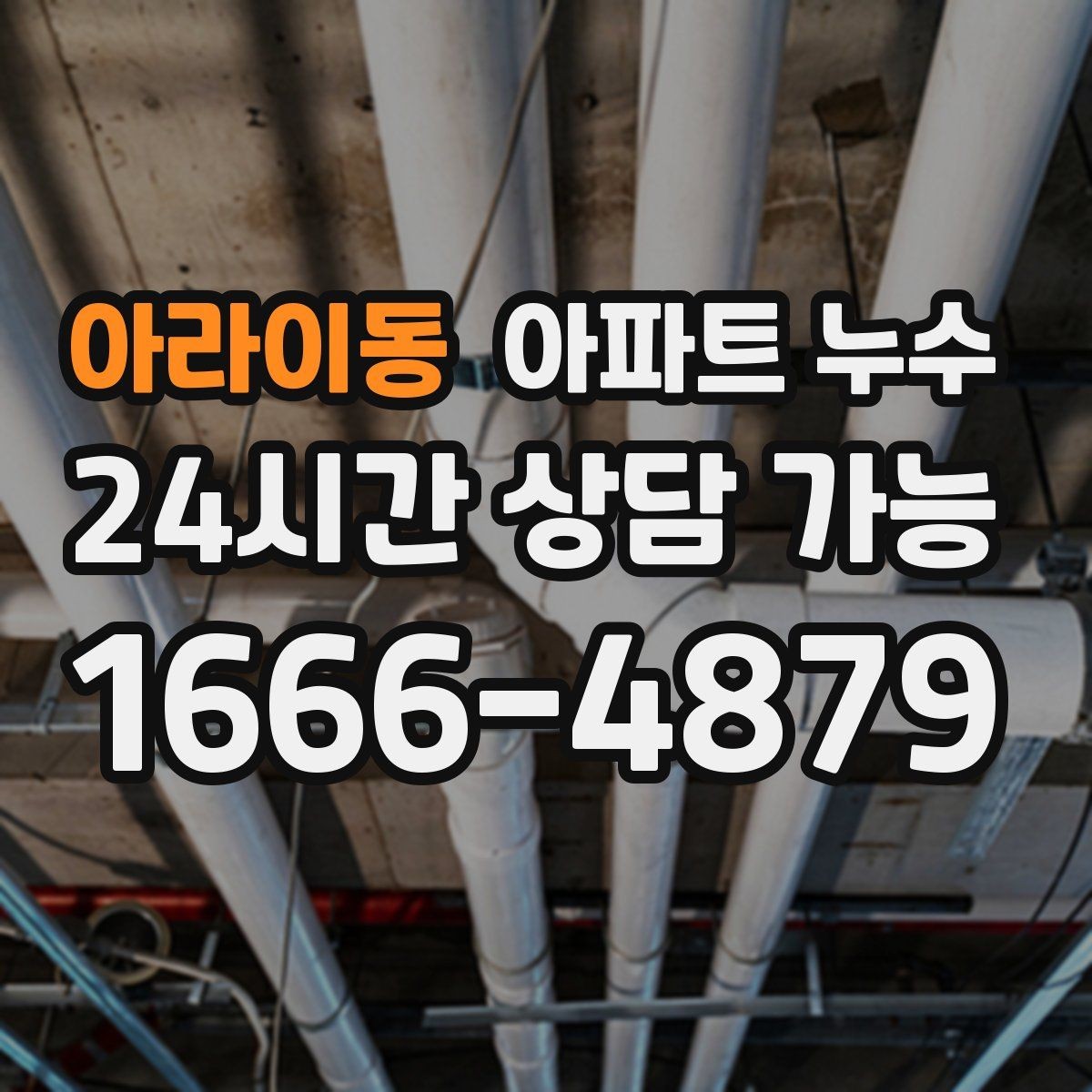 아라이동 아파트 누수 악취와 곰팡이 보이면 초기 대응부터 정리