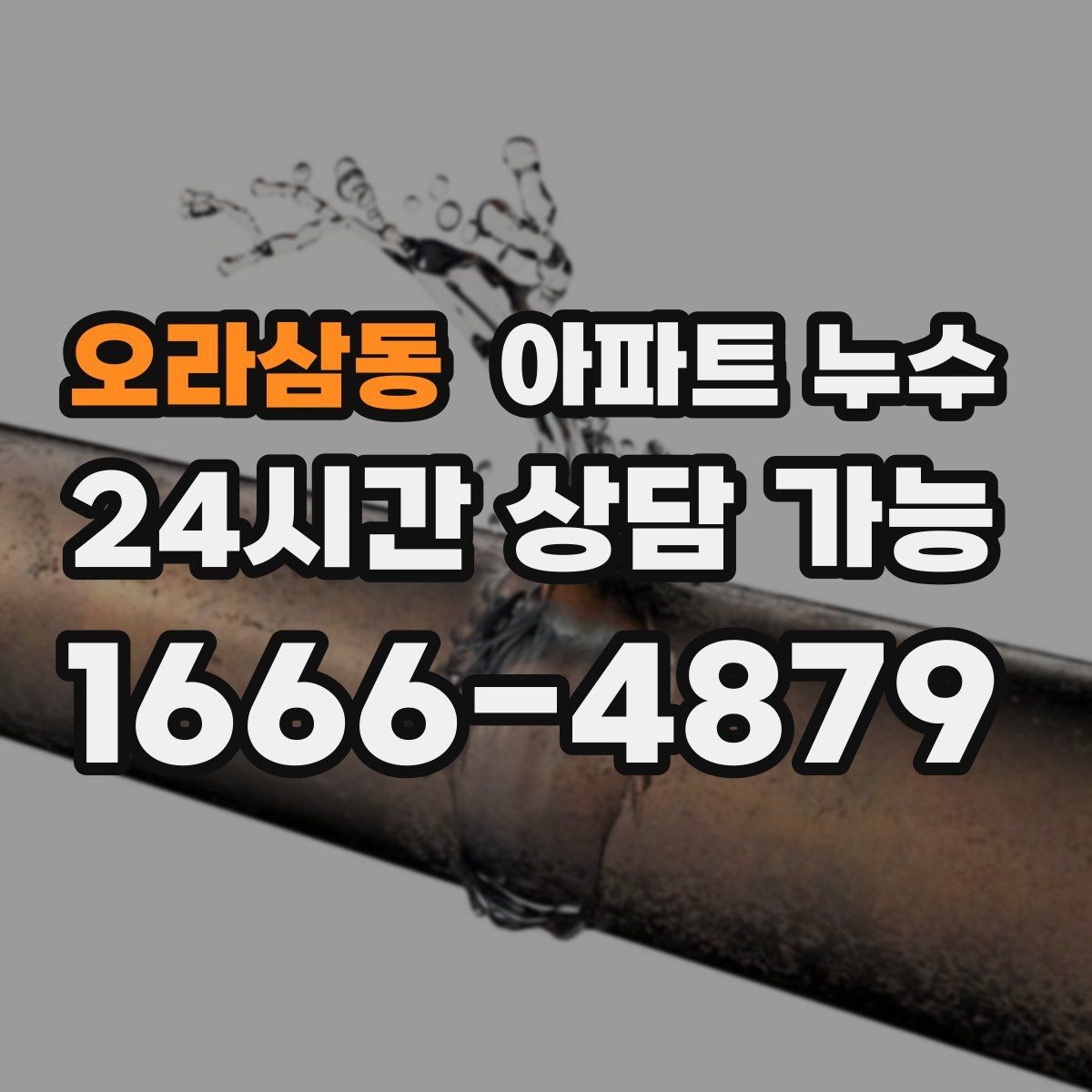 오라삼동 아파트 누수 이사 직후 발견했을 때 사진 기록 한눈에