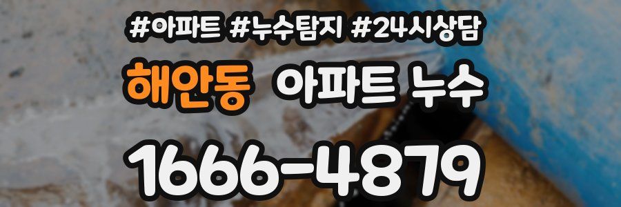 해안동 누수탐지