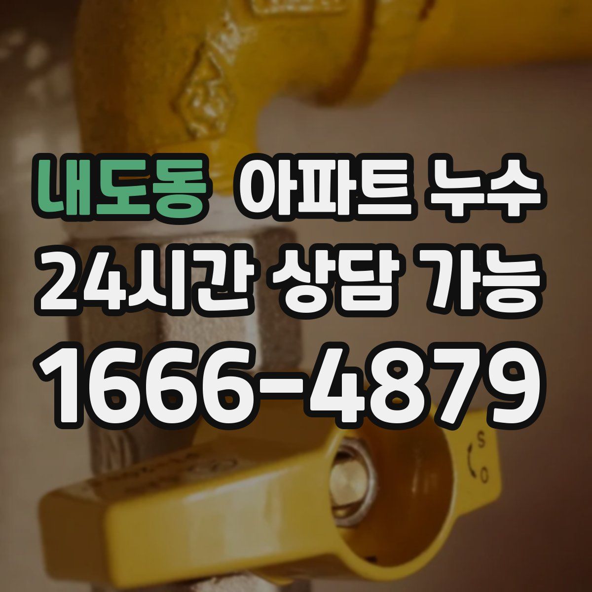 내도동 아파트 누수탐지