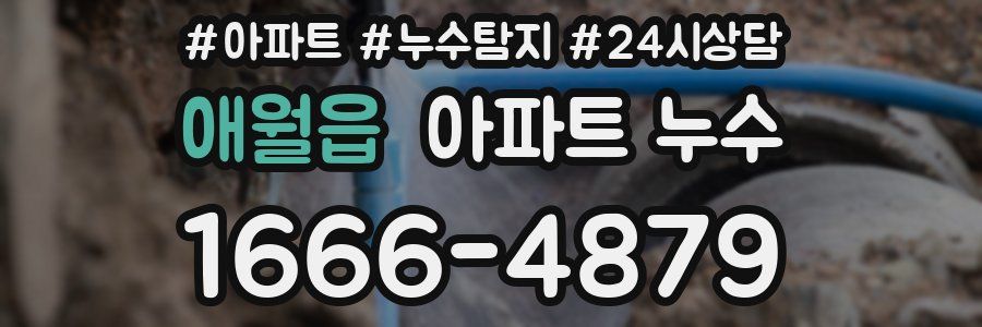 애월읍 누수탐지