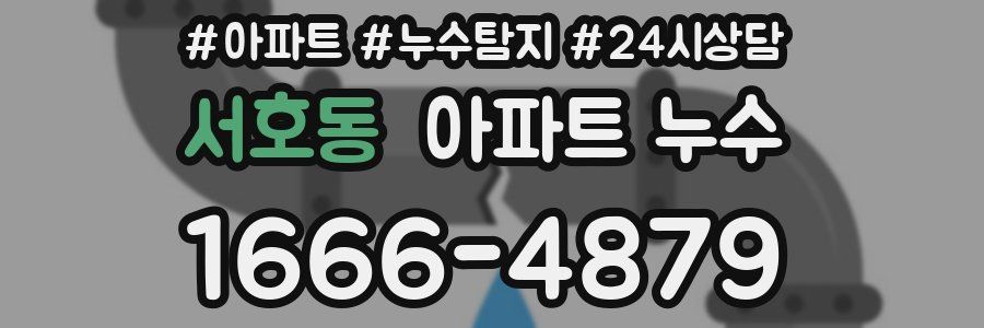 서호동 누수탐지