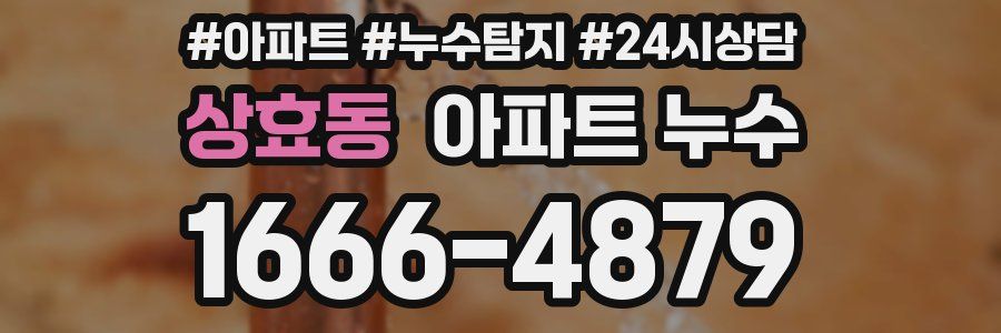 상효동 누수탐지