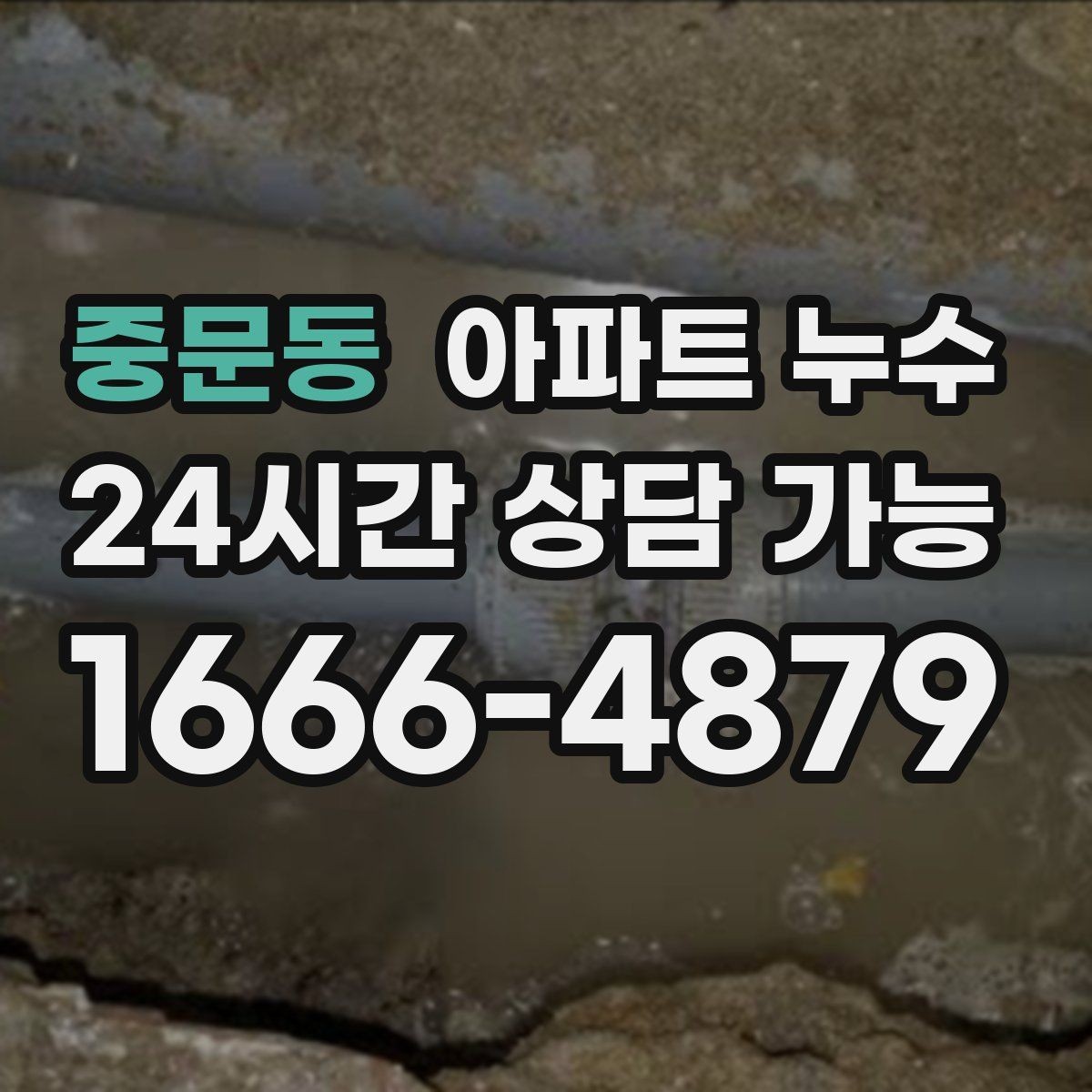 중문동 아파트 누수 악취가 날 때 확인해야 할 순서