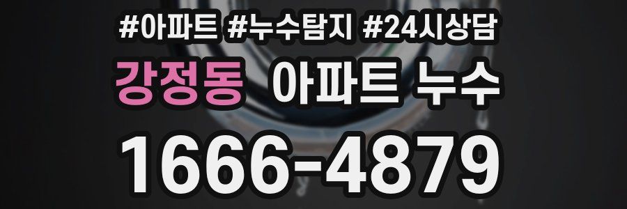 강정동 누수탐지