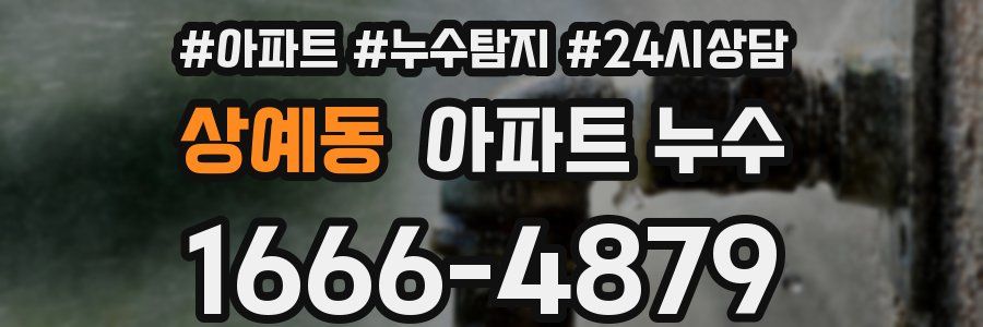 상예동 누수탐지