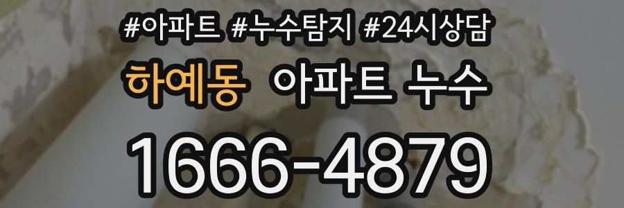 하예동 누수탐지