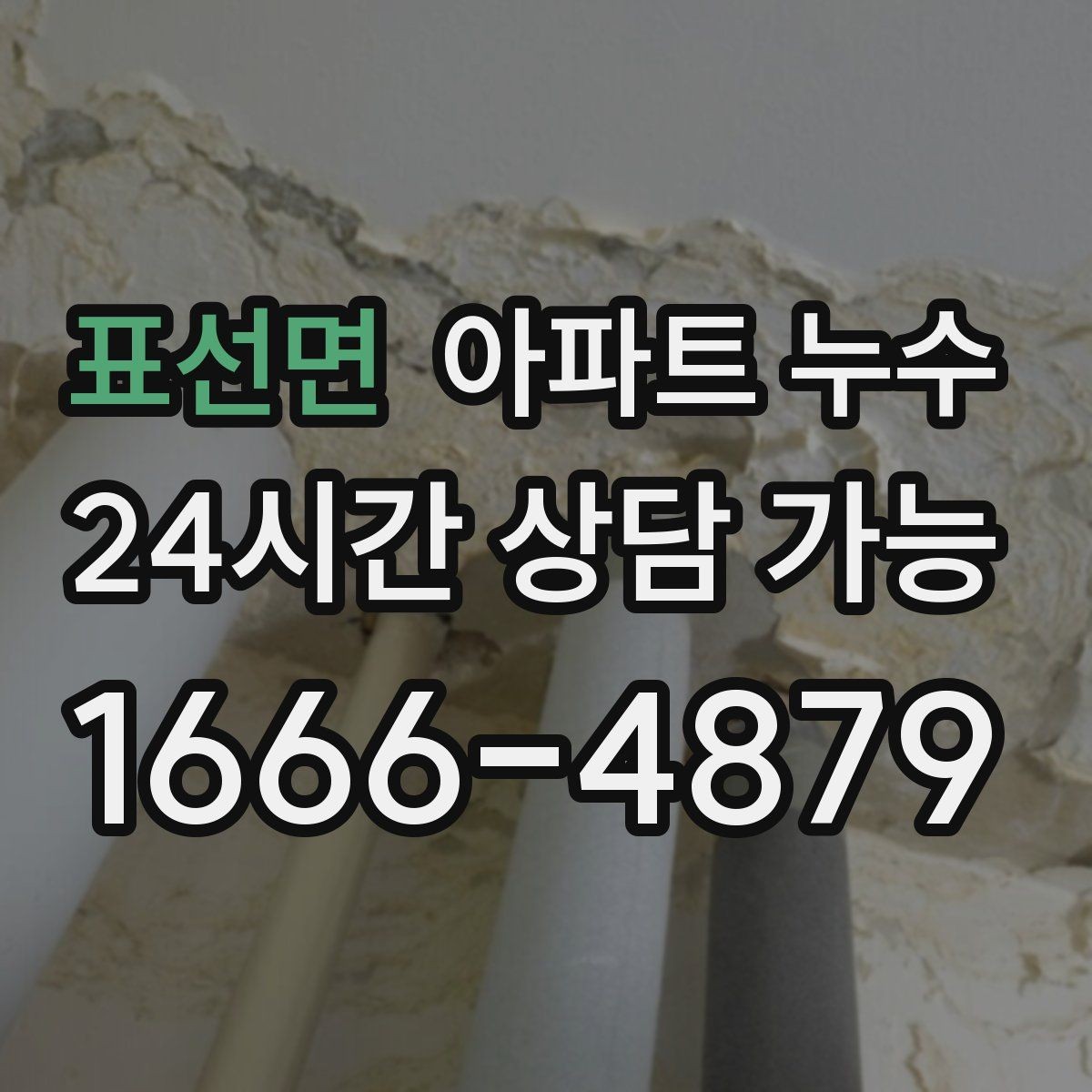 표선면 아파트 누수 비 온 뒤에만 생기는 물자국의 정체