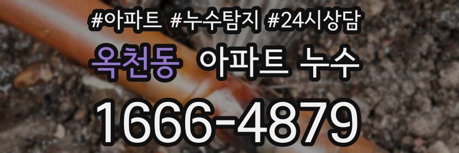 옥천동 누수탐지