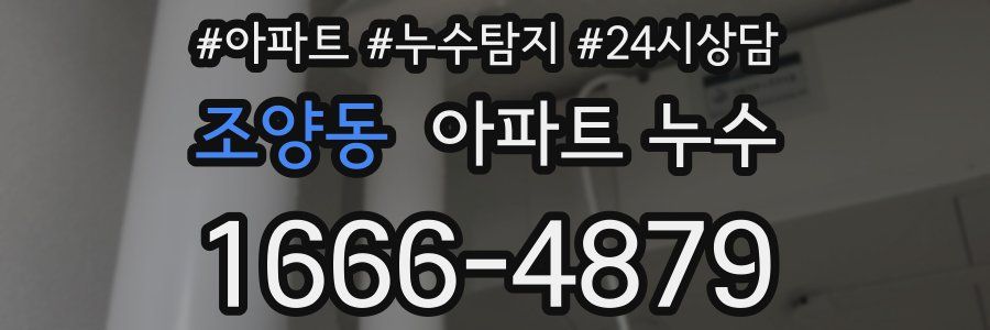 조양동 누수탐지