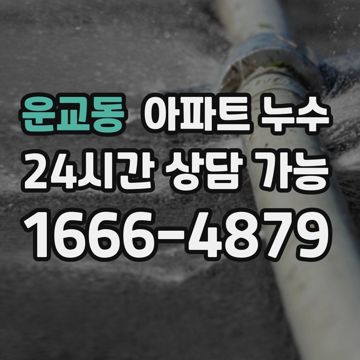 운교동 아파트 누수 원인 확인 후 필요한 조치만 진행합니다