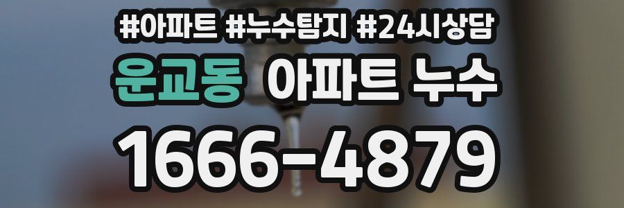 운교동 누수탐지