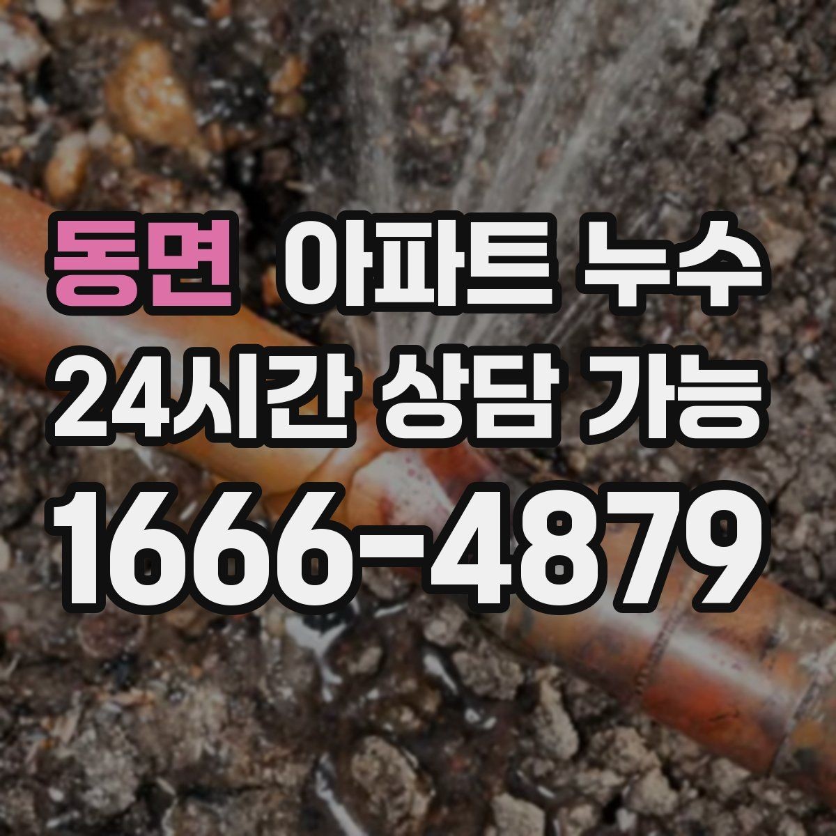 동면 아파트 누수 물기 없는 듯해도 벽이 차가울 때