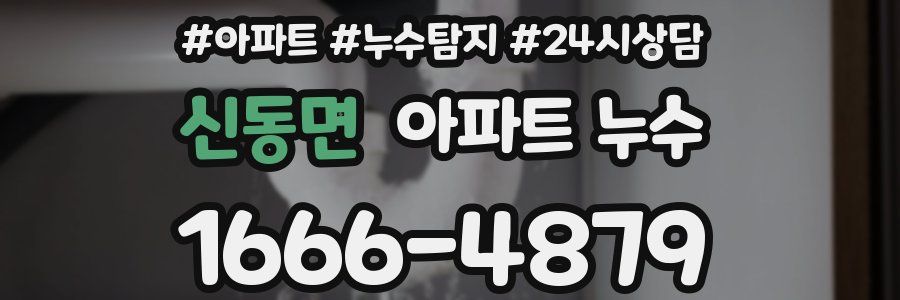 신동면 누수탐지