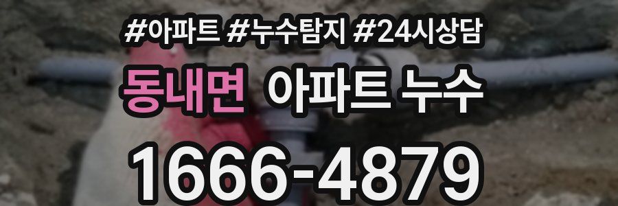 동내면 누수탐지