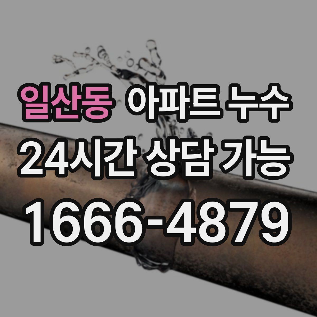 일산동 아파트 누수 벽지 들뜸 보이면 점검 순서부터 정리