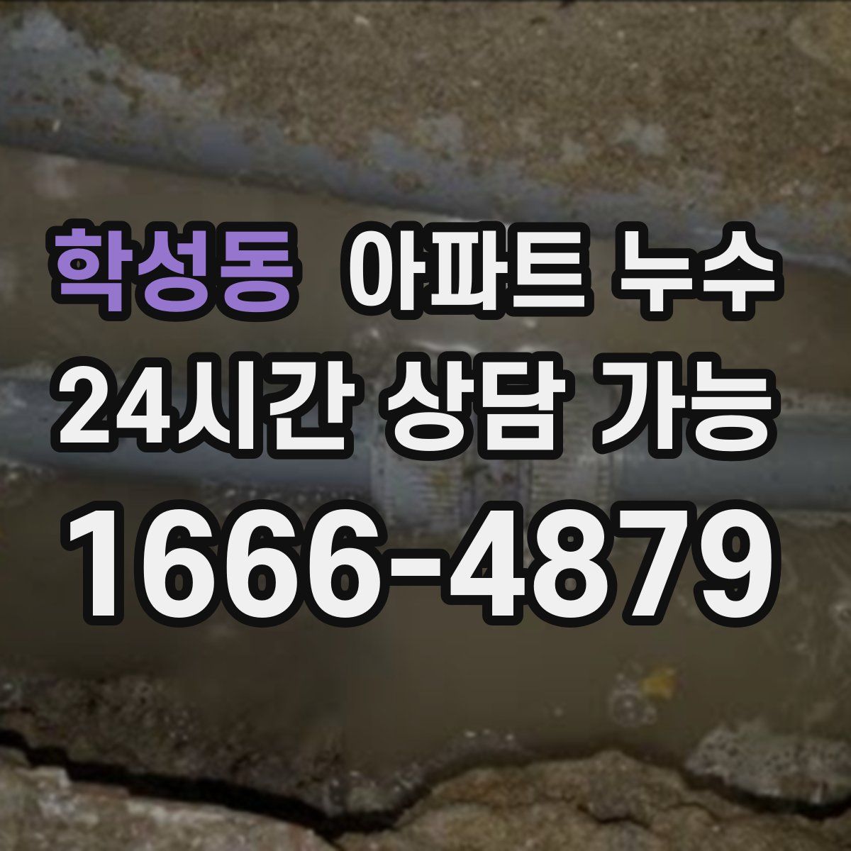 학성동 아파트 누수탐지