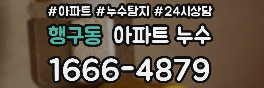 행구동 누수탐지