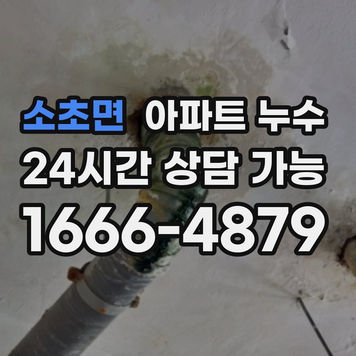 소초면 아파트 누수 환기해도 습기가 안 잡힐 때 원인