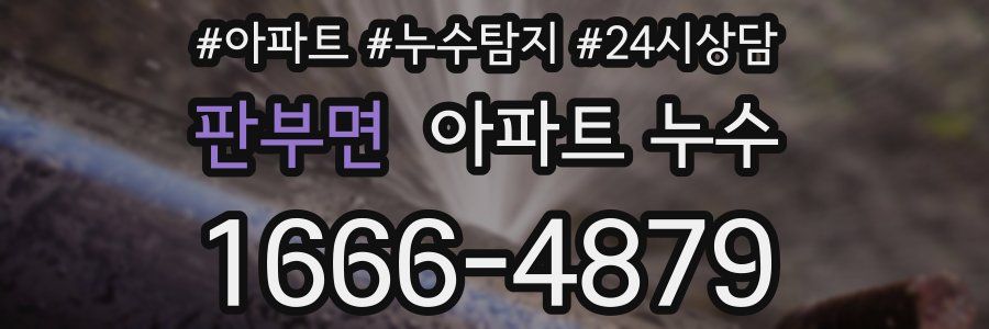 판부면 누수탐지