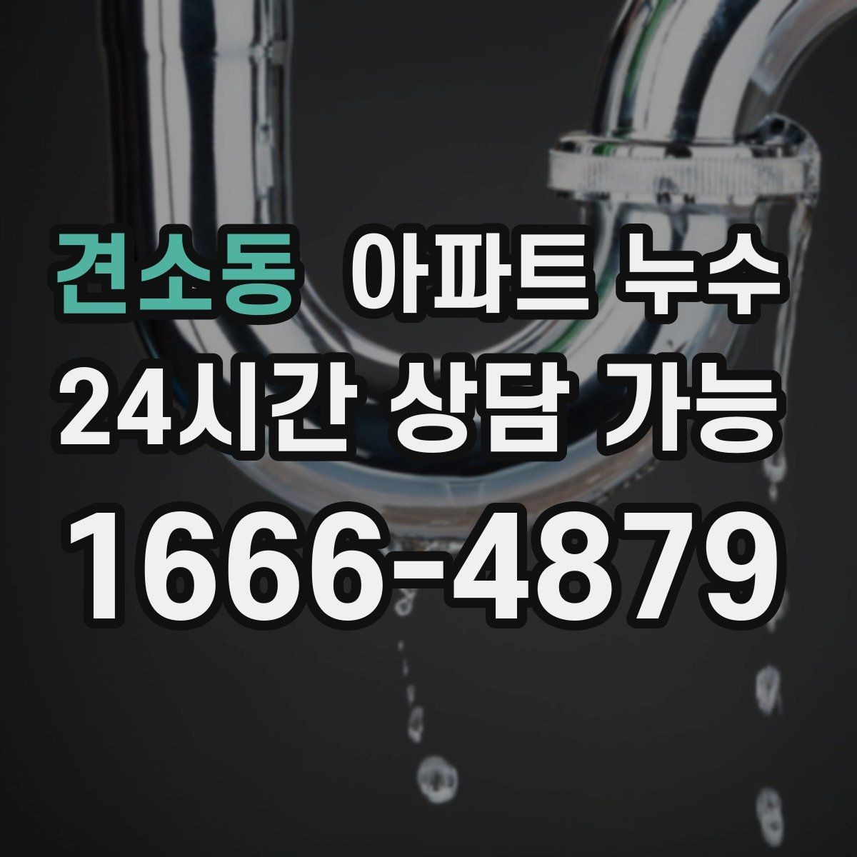 견소동 아파트 누수 곰팡이가 늘어날 때 비용 커지기 전 피해 최소화